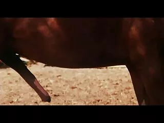 اشارہ اور ہندی شہوانی ، شہوت انگیز بھارتی فحش ویڈیو ، عوامی عریانیت تو وہ